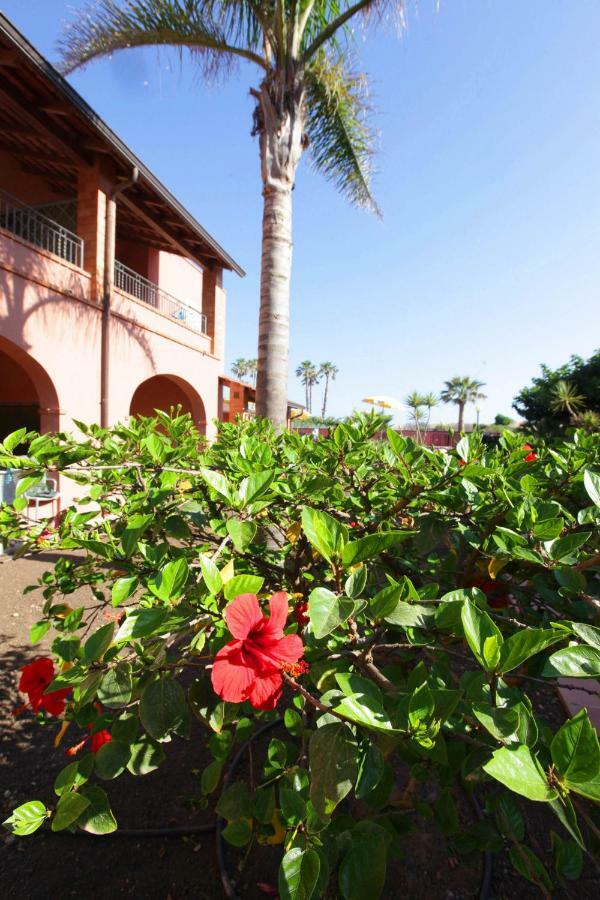 Residence Del Mare Casesicule 산타 마리아 델 포칼로 외부 사진